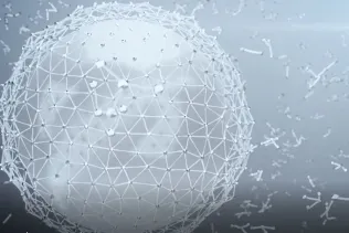 Symbolische Darstellung der zum “Schutzmantel” vernetzten Bindemittelstränge