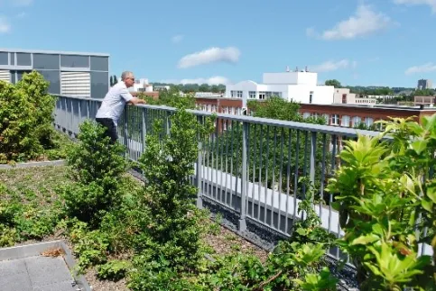 Optigrün international AG – Göggingen