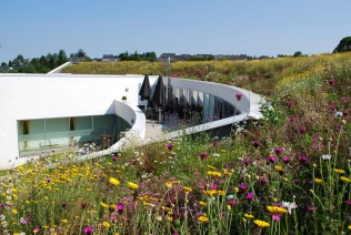 Naturdach beim Oversum – Winterberg – © Optigrün