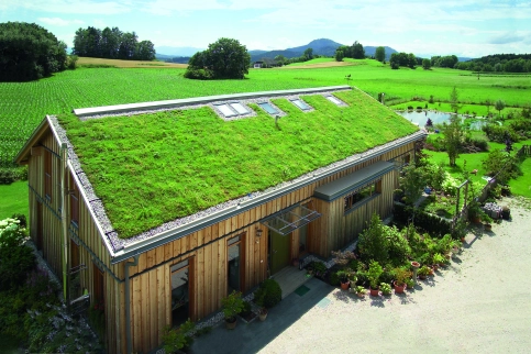 Bio Baumschule Eschendorf - Sankt Veit an der Glan – © Optigrün
