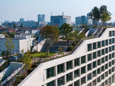 Grüne Oase über den Dächern Berlins.