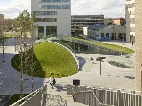 Innovative Schrägdachbegrünung auf dem Bildungscampus in Heilbronn.