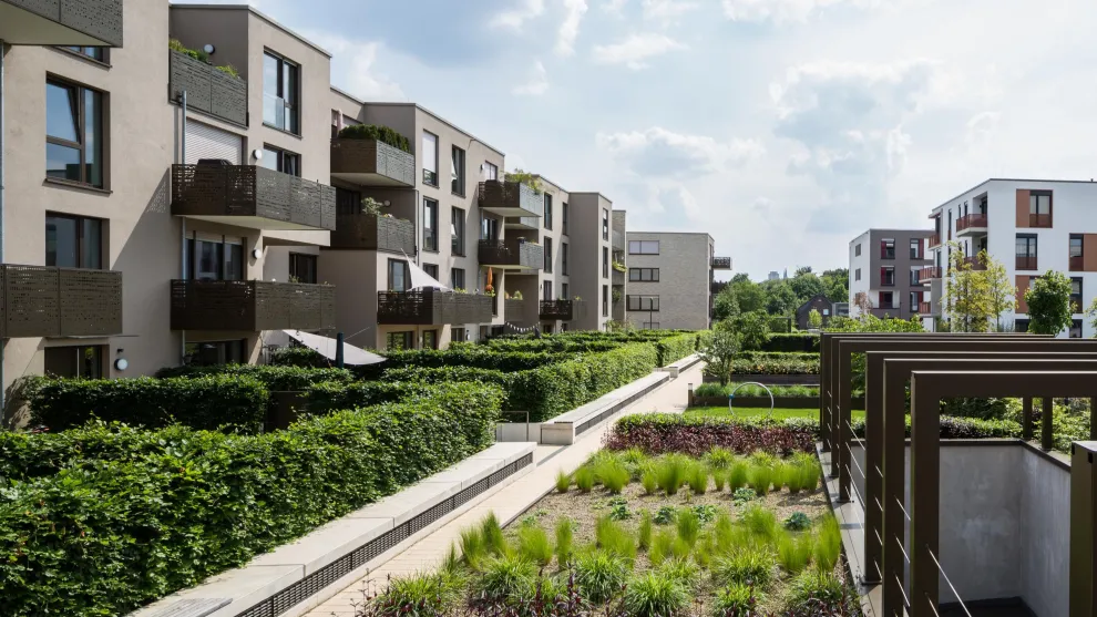 Ein Vorzeigeprojekt für blaugrüne Infrastruktur. Ein Kölner Wohnareal mit Innenhof auf einer Tiefgarage mit intensiver Dachbegrünung von Optigrün.