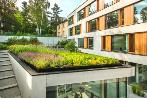Architekturbüro Blocher - Stuttgart © Optigrün