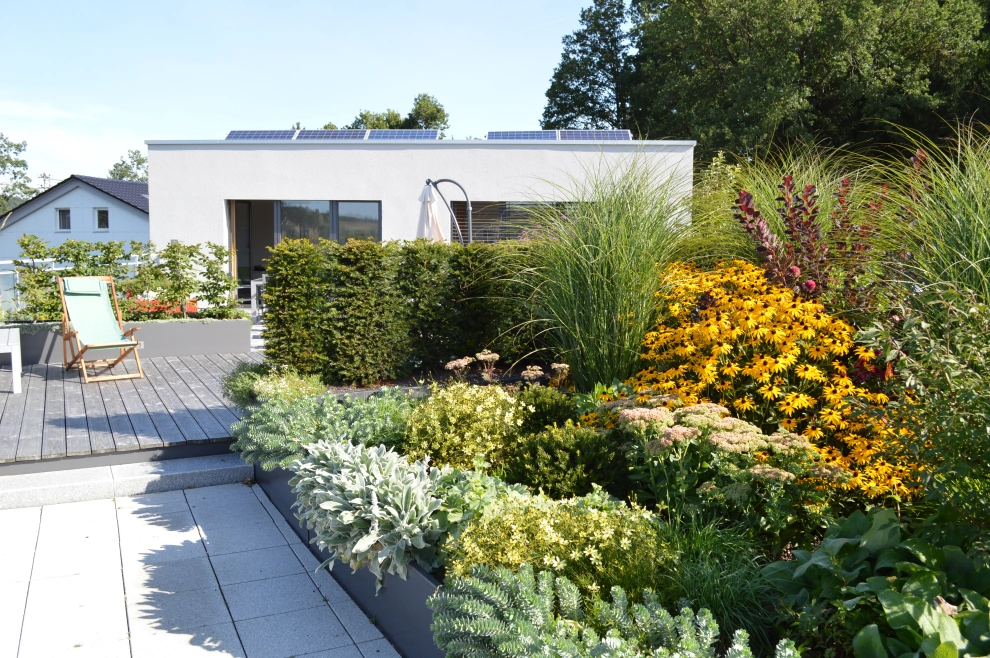 Der Dachgarten auf dem Firmengebäude der Optigrün international AG - Krauchenwies – © Optigrün