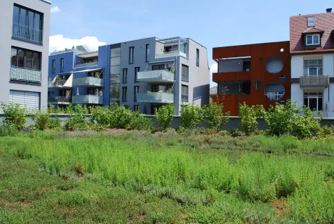 Das Gerberareal in Radolfzell als Vorzeigeobjekt für Urban Gardening. – © Optigrün