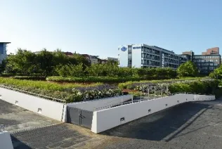 DRV – Karlsruhe