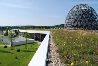 Naturdach beim Oversum – Winterberg – © Optigrün