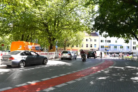 Temporäre Wurzelbrücke
