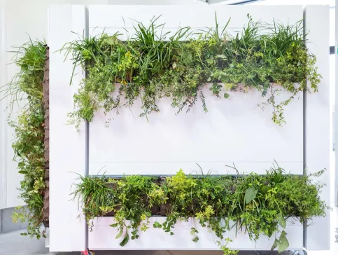 Planum®Living Green Profil W330