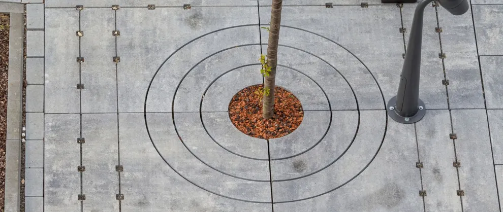 GDM.DECA tree nativo, Grau-Schwarz nuanciert