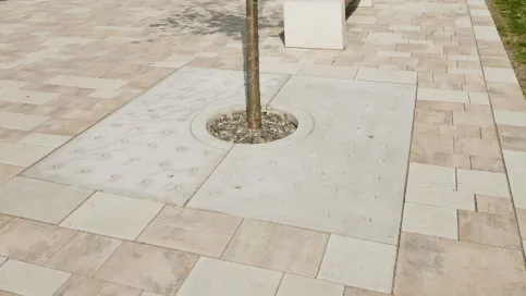 GDM.TETRAGO tree nativo, Grau