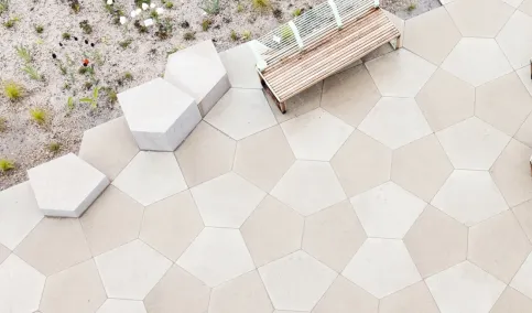 GDM.SCENIC collection