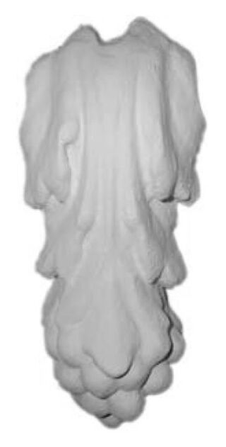 Konsole OK18 110x260 mm