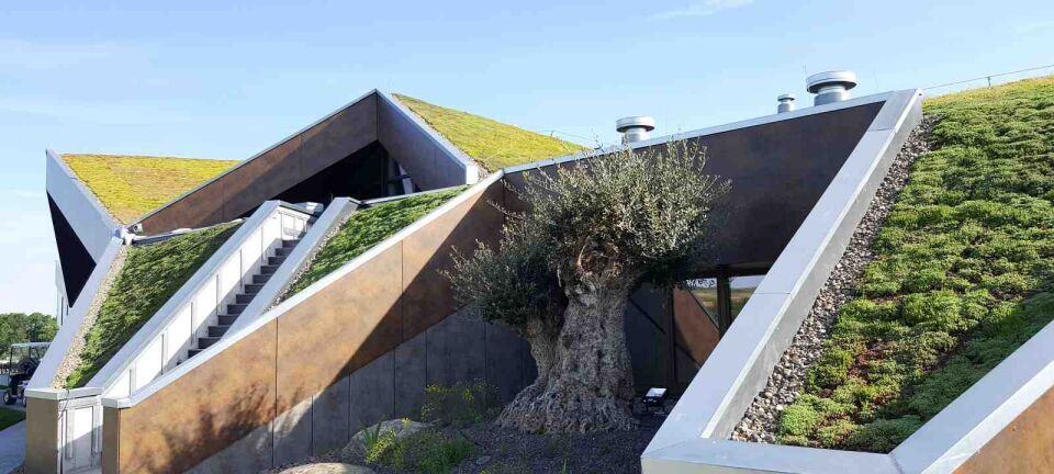 ZinCo Systemaufbau „Begrüntes Steildach bis 35°”