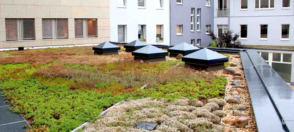 ZinCo Systemaufbau „Retentions-Gründach” mit extensiver Dachbegrünung