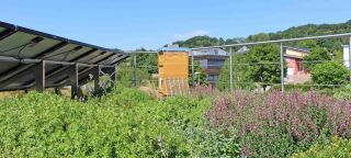ZinCo Systemaufbau „Bienenweide”