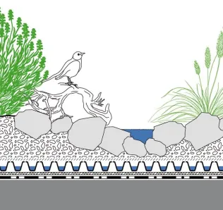 Systemaufbau "Biodiversitäts-Gründach"