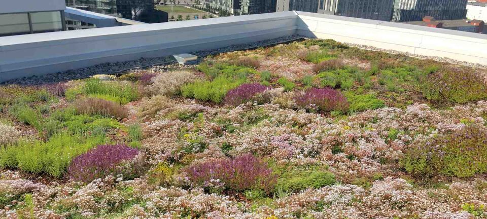 ZinCo Systemaufbau „Sponge City Roof“