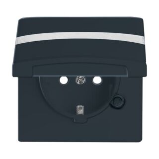 SCHUKO® Steckdosen-Einsatz mit Klappdeckel und Beschriftungsfeld, anthrazit
