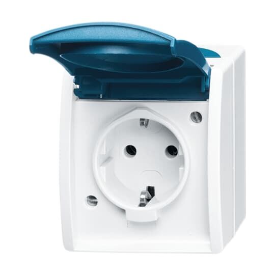 Busch-Jaeger SCHUKO® Steckdose mit Klappdeckel und Beschriftungsfeld