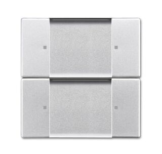 Busch-Jaeger Wandsender ZigBee Light Link 2 Kanal