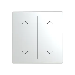 Abdeckung als Wippe 2-fach mit Symbol 