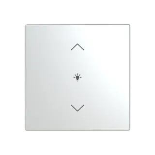 Abdeckung als Wippe 1-fach mit Symbol 