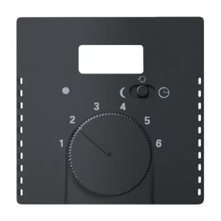 Zentralscheibe für Raumtemperaturregler, schwarz