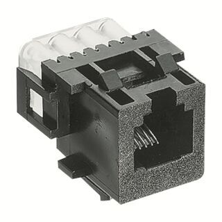 Busch-Jaeger Modular-Jack-Buchse