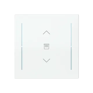 Abdeckung als Wippe 1-fach mit Symbol 