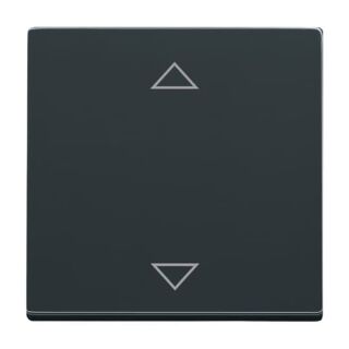 Bedienelement, anthrazit