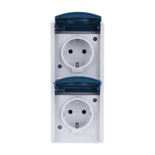 Busch-Jaeger SCHUKO® Steckdose 2-fach