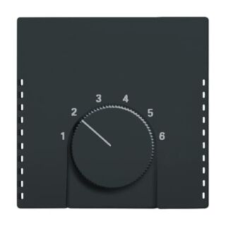 Zentralscheibe für Raumtemperaturregler, anthrazit