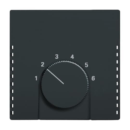 Busch-Jaeger Zentralscheibe für Raumtemperaturregler