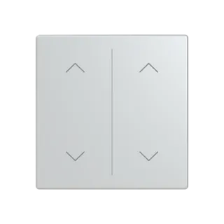 Abdeckung als Wippe 2-fach mit Symbol 