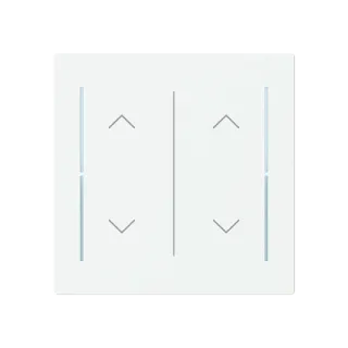Abdeckung als Wippe 2-fach mit Symbol 