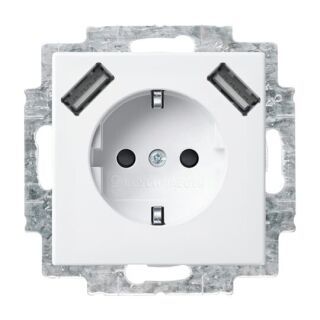 20 EUCB2USB-914 SCHUKO® 2x USB-Steckdose, alpinweiß