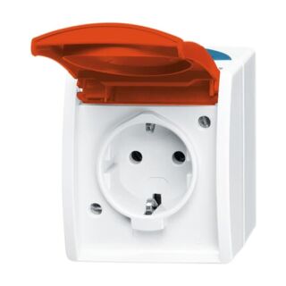 Busch-Jaeger SCHUKO® Steckdose mit Klappdeckel