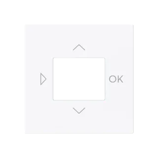 Busch-Jaeger Zentralscheibe für LCD-Display