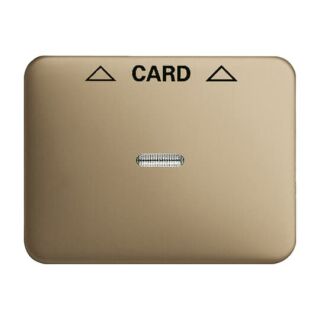 Busch-Jaeger Zentralscheibe Cardschalter
