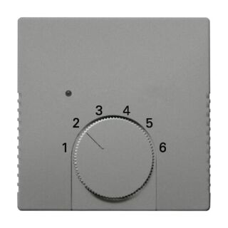 Zentralscheibe für Raumtemperaturregler, grau