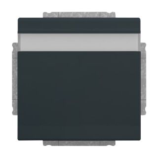 SCHUKO® Steckdosen-Einsatz mit Klappdeckel und Beschriftungsfeld, anthrazit
