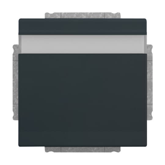 SCHUKO® Steckdosen-Einsatz mit Klappdeckel und Beschriftungsfeld, anthrazit