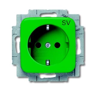 SCHUKO® Steckdosen-Einsatz mit Aufdruck, grün