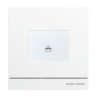 Busch-Jaeger Außenstation mit Transponder-Modul für Türkommunikation