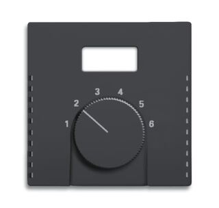 Zentralscheibe für Raumtemperaturregler, schwarz