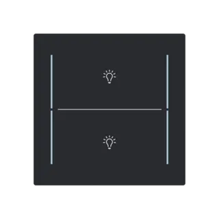Abdeckung als Taster 2-fach mit Symbol 