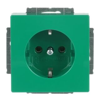 SCHUKO® Steckdosen-Einsatz mit Aufdruck, grün