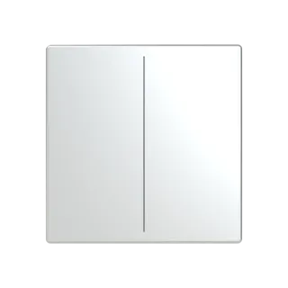 Abdeckung, 2-fach für Keypad, edelstahl